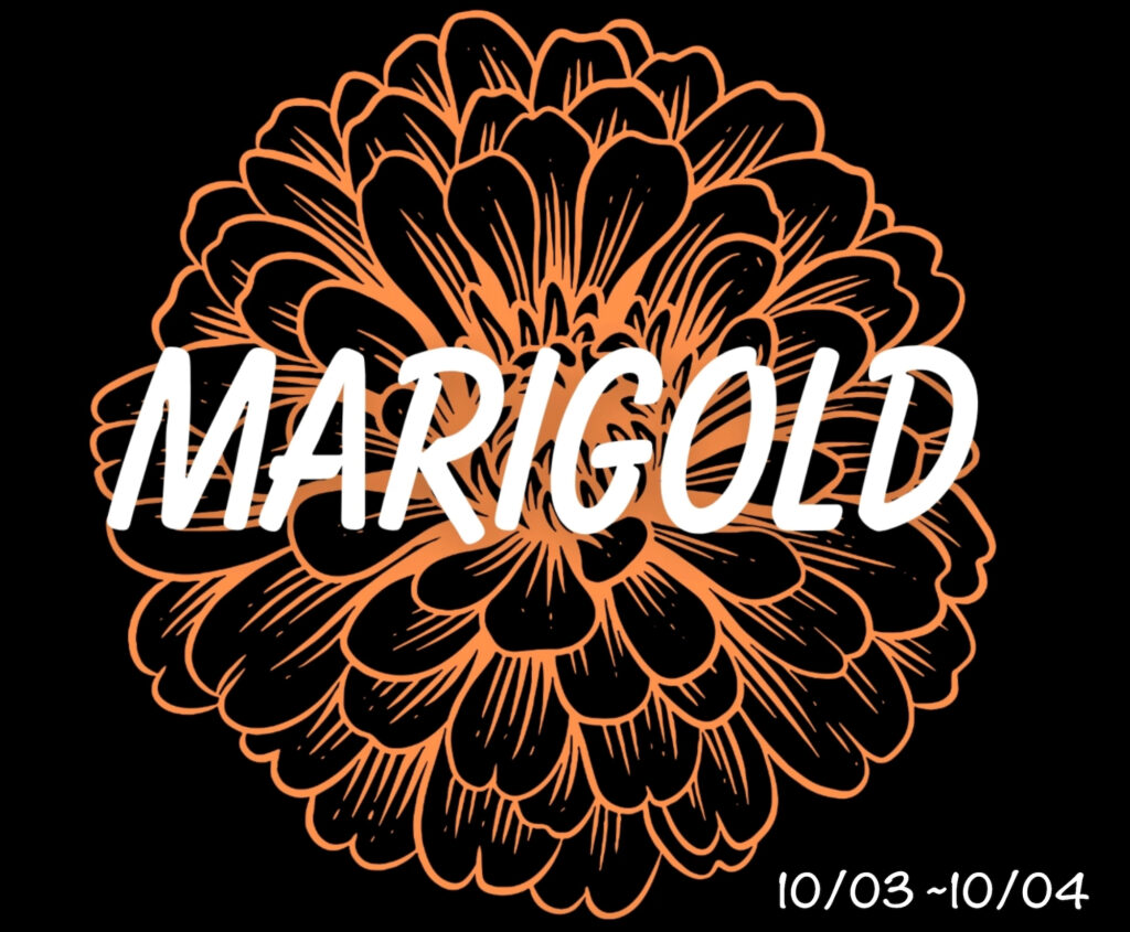 Marigold Music Festival